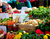 Save Money On Non Seasonal Produce Can Be Done