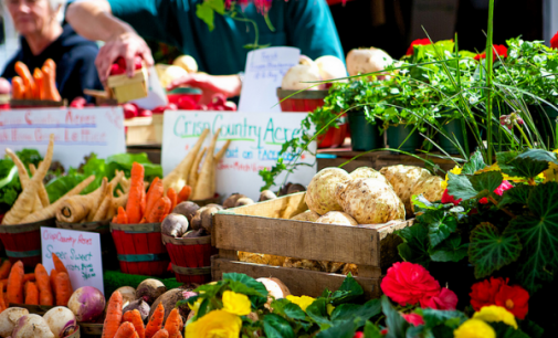 Save Money On Non Seasonal Produce Can Be Done