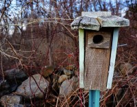 Prioritising Early Mortgage Repayment over Investments: Why You Should Think Again