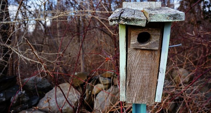 Prioritising Early Mortgage Repayment over Investments: Why You Should Think Again