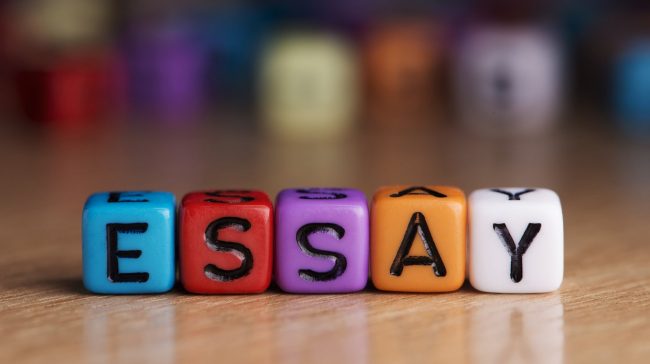 accounting essay writing